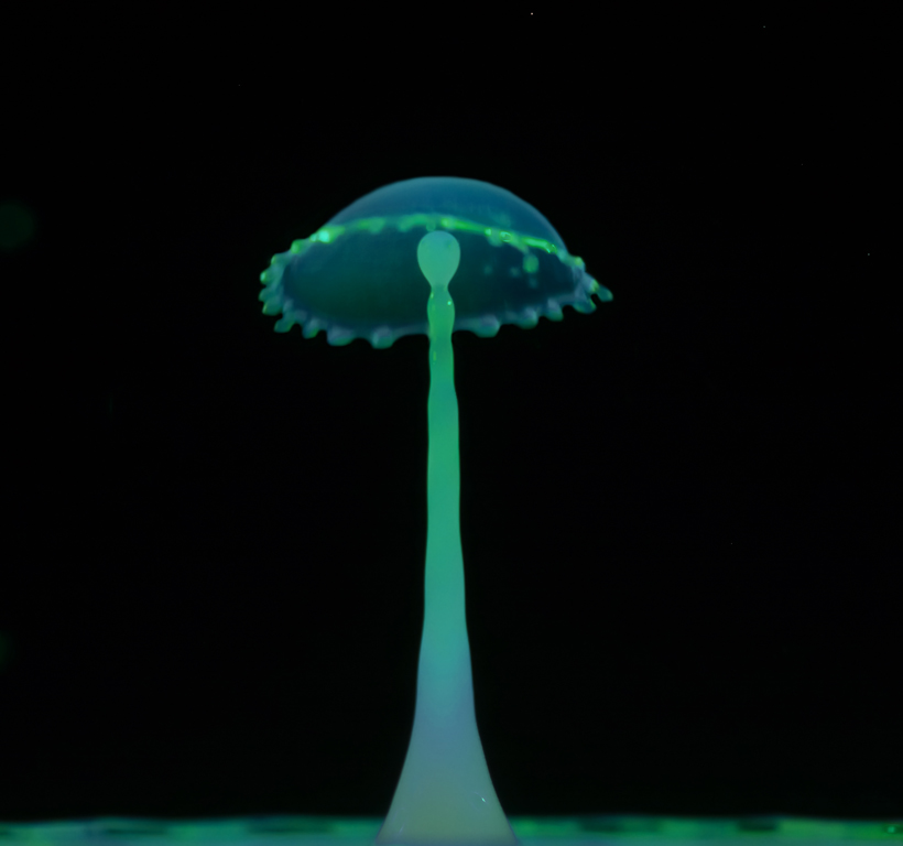 Traditional In Class A By Steve Lombardi For Fluorescing Mushroom JAN-2019.jpg